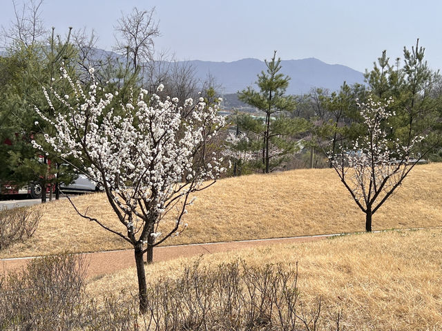 일패근린공원
