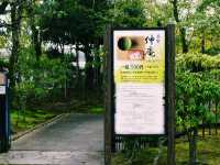 侘び寂びに触れる、心静まる茶室体験🍵⛩