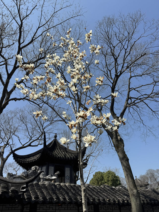 蘇州一泊二日