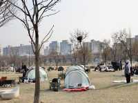 平日漢江公園驚見超浪漫野餐景象！情侶在草地上看韓劇，這才是韓國人最愛的放鬆方式在韓國的平日午後