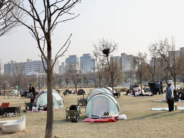 平日漢江公園驚見超浪漫野餐景象！情侶在草地上看韓劇，這才是韓國人最愛的放鬆方式在韓國的平日午後