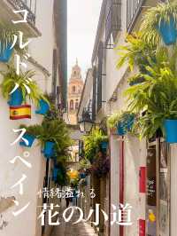 コルドバ旧市街人気スポット【花の小道】