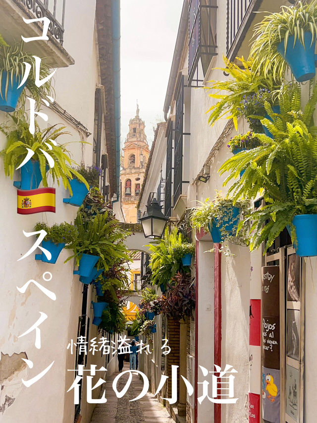コルドバ旧市街人気スポット【花の小道】