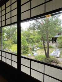 【金沢×日本庭園】21世紀美術館内に移築された日本庭園