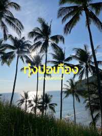 ทุ่งปอเทือง ริมทะเล หาดเมอลิน🌼