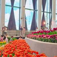 ที่เที่ยวใหม่เมืองระยอง