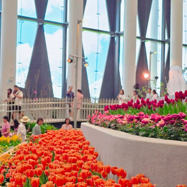 ที่เที่ยวใหม่เมืองระยอง