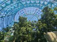親近自然和學習生態知識的植物園