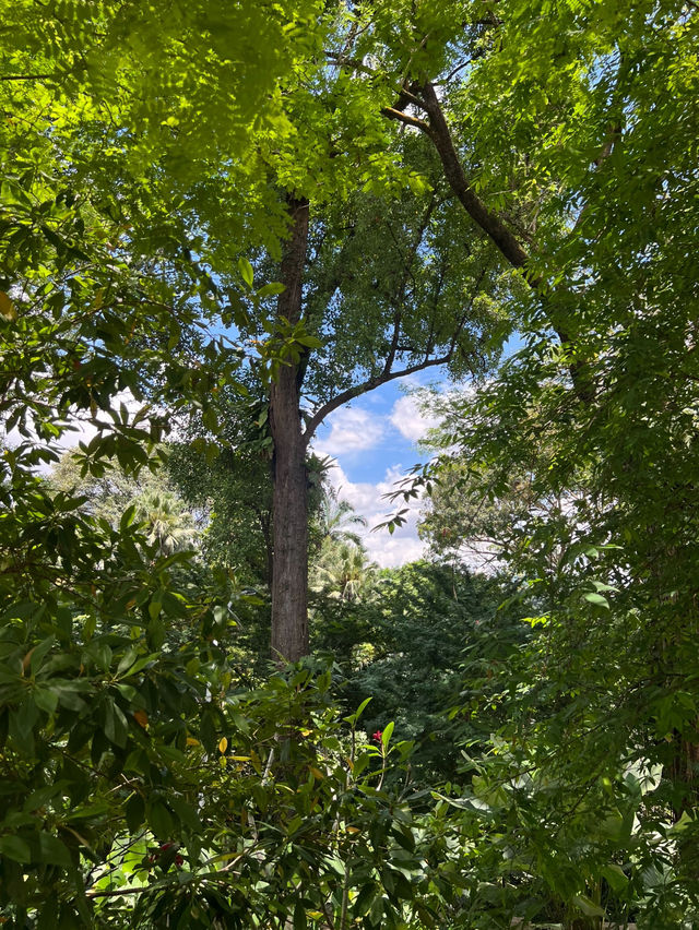 푸릇푸릇함이 가득한 🌲쿠알라룸푸르 페르다나 식물원
