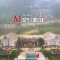 นอนกลางหมอกฟอกปอดกับ Mistry บ้านป่าหมอก