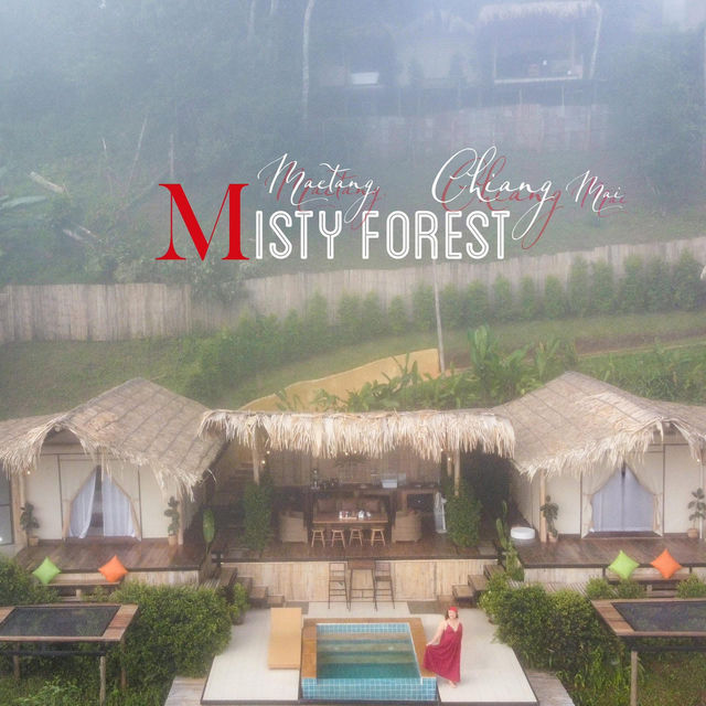 นอนกลางหมอกฟอกปอดกับ Mistry บ้านป่าหมอก