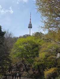 Namsan Seoul Tower — A Blossom-Filled Spring Escape in the Heart of Seoul