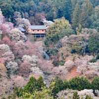 Mount Yoshino, Nara