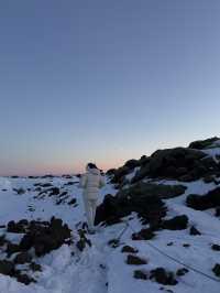 Moss-covered lava field dressed in winter ❄️