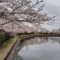 Mobara Park, Chiba