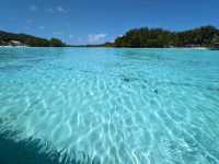 Clear Waters, Quiet Shores: A Slice of Heaven in the Cooks