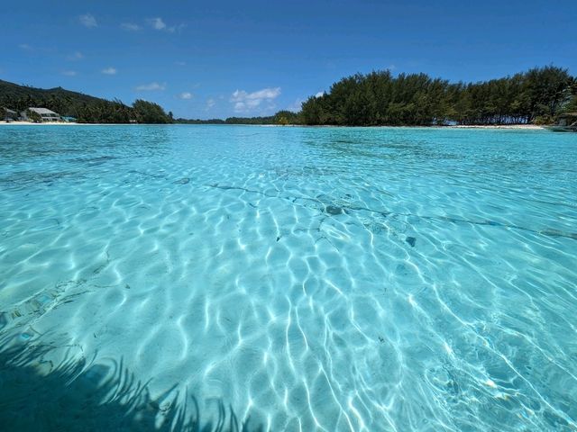 Clear Waters, Quiet Shores: A Slice of Heaven in the Cooks