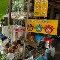 Nature’s Haven at Rainforest Tree House