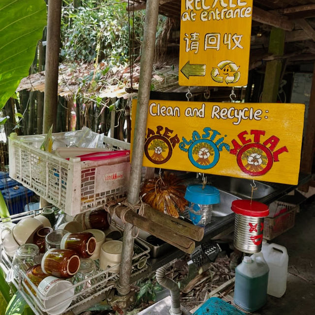 Nature’s Haven at Rainforest Tree House