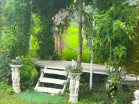 คาเฟ่ท้องนา หน้าฝนนี้มีที่เช็คอินยัง