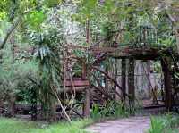 เก๊าไม้ล้านนารีสอร์ท ที่สุดของโรงแรมใกล้ชิดธรรมชาติ