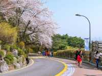 “Namsan Tower Trail: A Blossom-Filled Hike to Seoul’s Stunning Views”