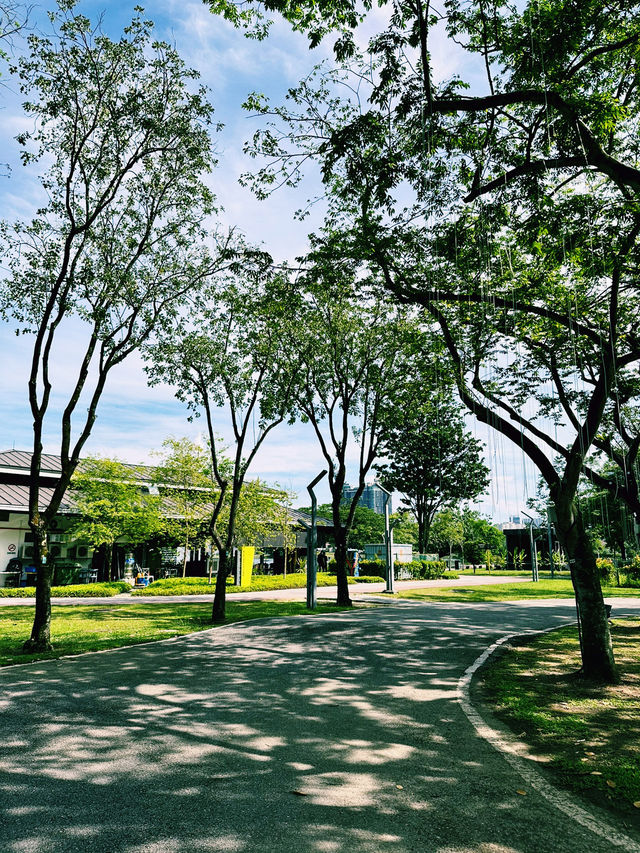 Breathe in Nature at Taman Tasik Titiwangsa
