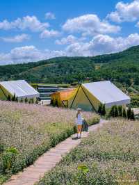 THE CAMP VILLE DALAT 