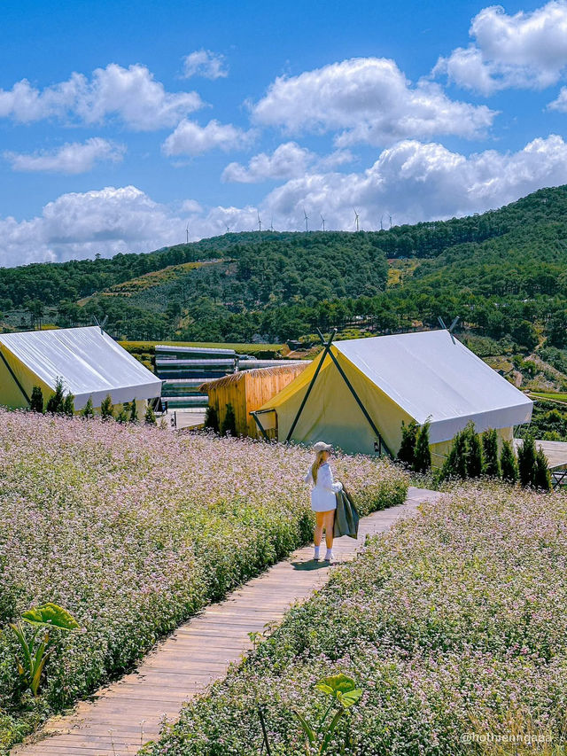 THE CAMP VILLE DALAT 