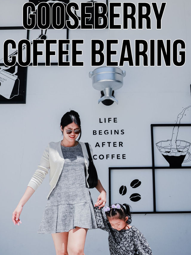 Gooseberry Coffee Bearing Lasalle