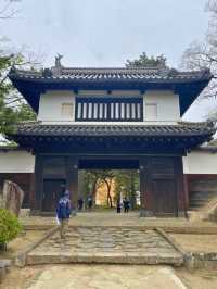 江戸時代から残る櫓門など、歴史感じる土浦城🏯