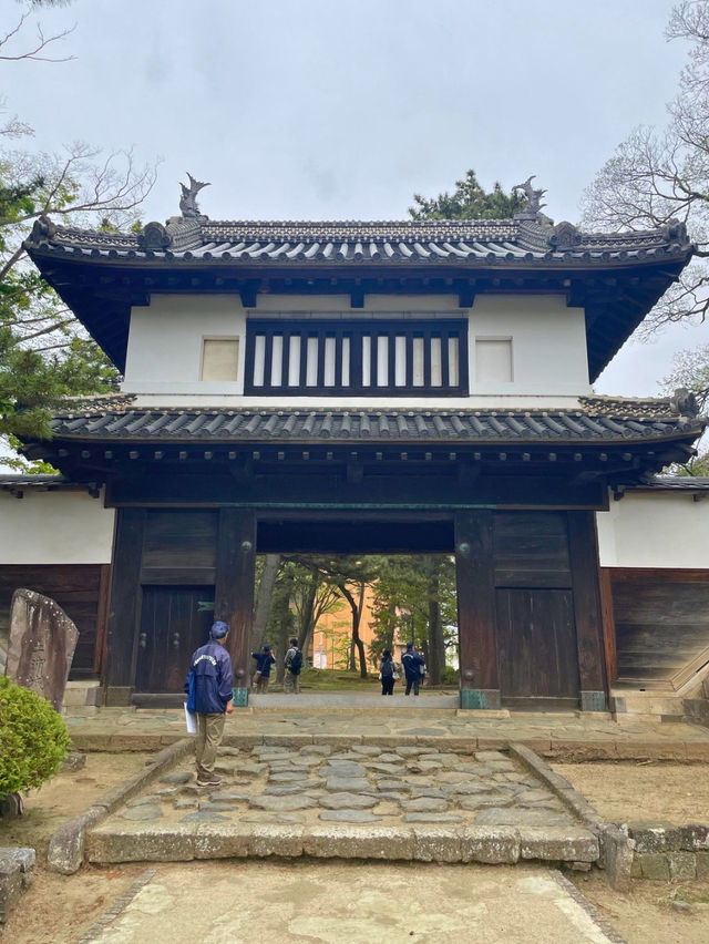 江戸時代から残る櫓門など、歴史感じる土浦城🏯