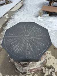【北海道・旭川】旭岳ロープウェイで大雪山の大自然を体感しよう