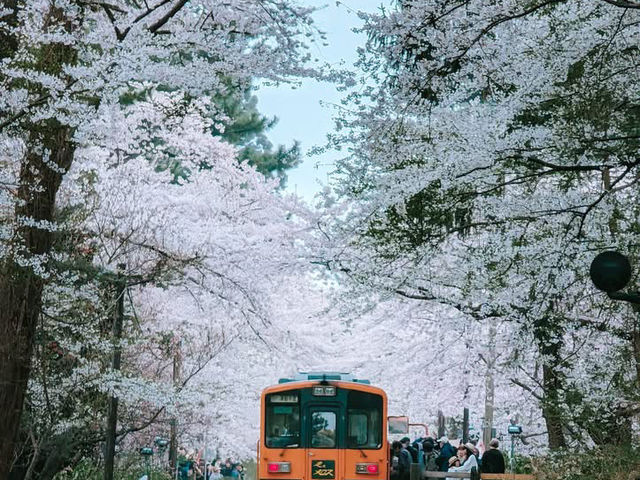 青森蘆野公園 - 日本文豪太宰治的童年足跡