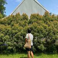 Road trip เที่ยว #เกาะช้าง จ.ตราด