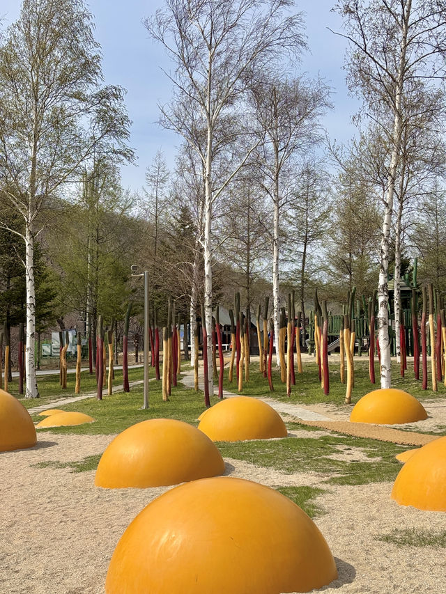 알록달록 아이들과 가족나들이 떠나기 좋은 대관령💛
