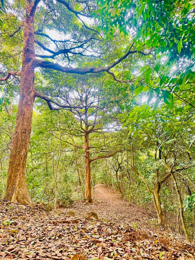 Waterfall Wonderland: Hiking to Ng Tung Chai Waterfalls, Hong Kong