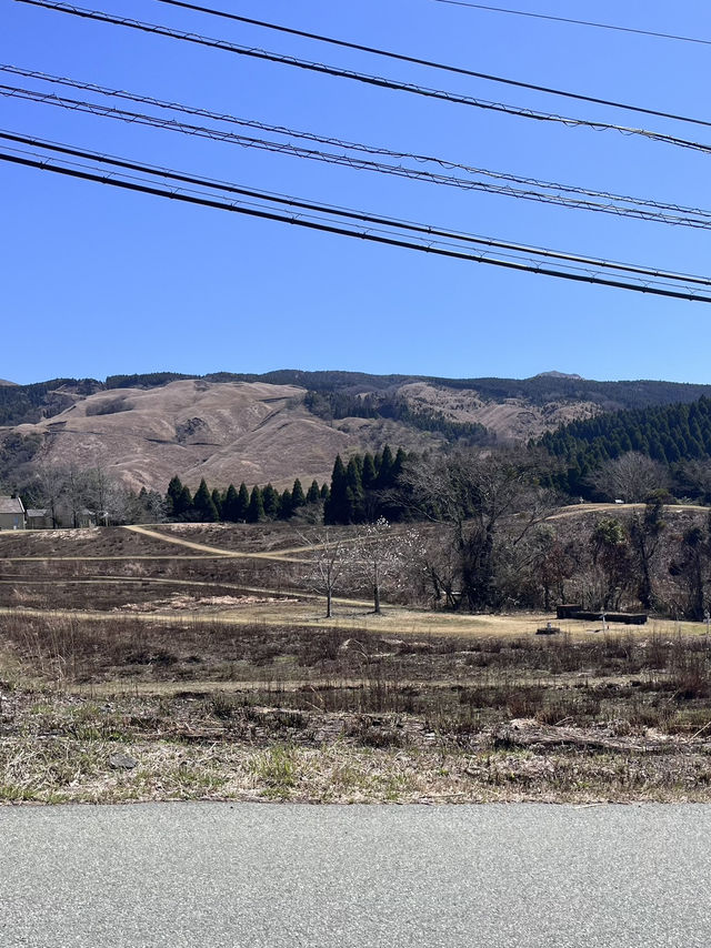 【熊本県】阿蘇山を一望🌋 