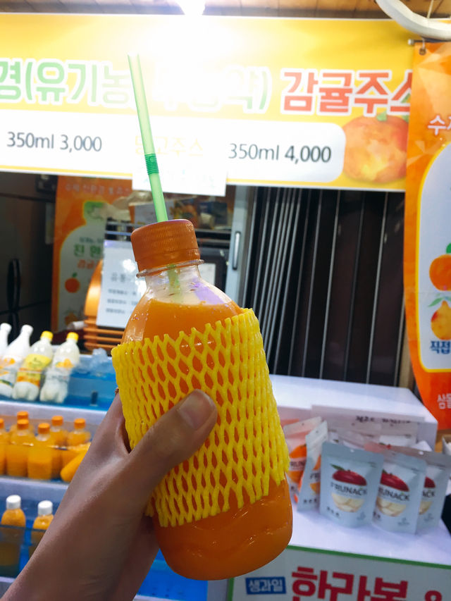 🏝️ 제주에서 꼭 먹어야 할 음식 6선