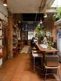 Barista Collective