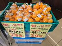 마쓰야마 사랑스러운 귤🍊의 도시