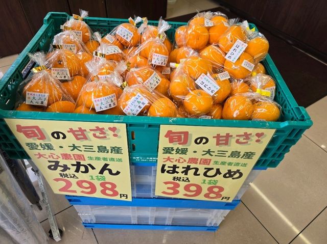 마쓰야마 사랑스러운 귤🍊의 도시
