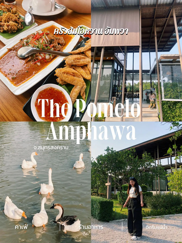 💚 แนะนำคาเฟ่ร้านอาหาร ที่อัมพวาต้องแวะคาเฟ่สวย ✨
