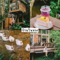 37 พิกัดเที่ยว ระนอง
