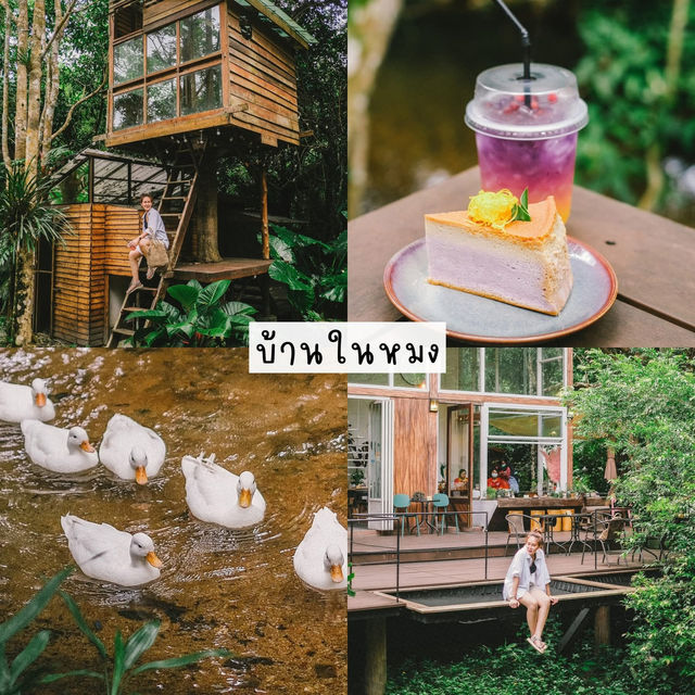 37 พิกัดเที่ยว ระนอง