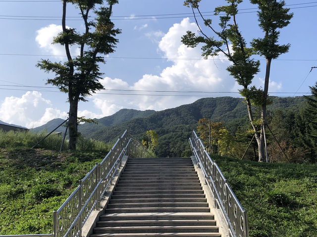 제천에서 만나는 힐링 여정🍂 묵은지 닭도리탕부터 성지 산책, 숲속 리조트까지