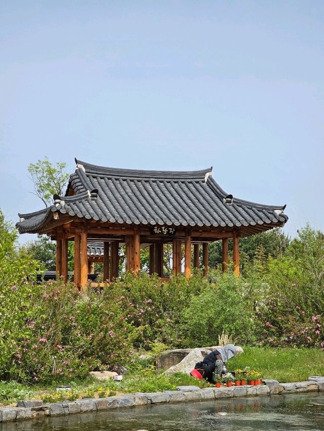 세종에 재현된 왕실 전통 정원 🖼