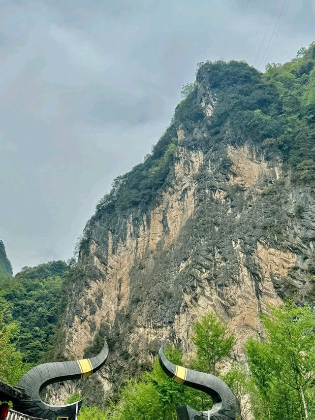 Peaceful Nature Break With Cool Vibes
