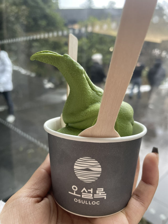 제주도 365일 크리스마스