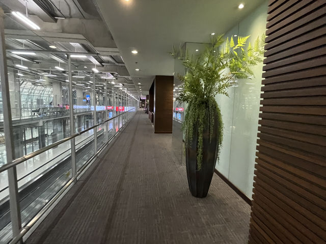 Royal Silk Lounge: Comfort & Cuisine Above the Clouds